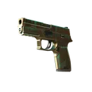 StatTrak™ P250 | Verdigris (Field-Tested) image