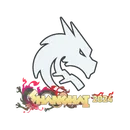 Sticker | Team Spirit | Shanghai 2024 image