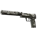 StatTrak™ USP-S | Ticket to Hell (Field-Tested) image